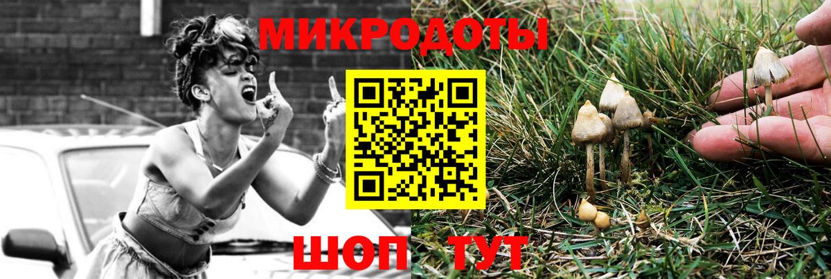Киселёвск  Псилоцибиновые грибы GOLDEN TEACHER  Вход с VPN 
