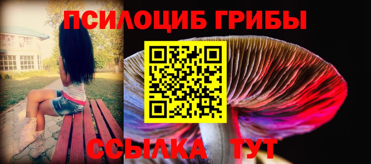 Галлюциногенные грибы мухоморы Киселёвск